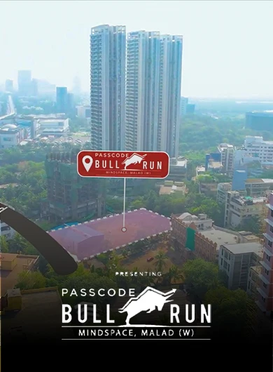 Bullrun